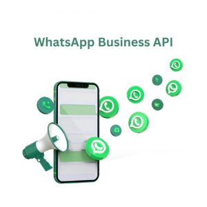 Business WhatsApp provider in India